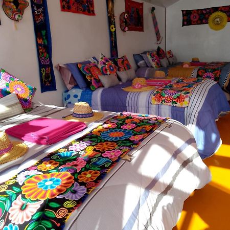 Uros Titikaka The Best Lodge プーノ エクステリア 写真